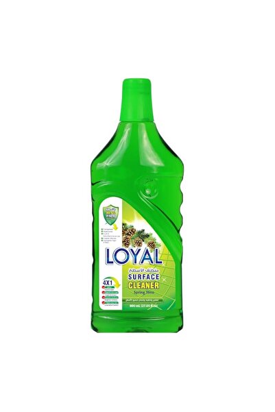 Generic Brand Loyal Surface Cleaner Spring Time - Kill 99.9% of Germs - Disin...