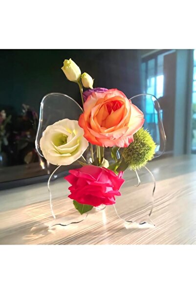 Generic HANNEA® Acrylic Butterfly Flower Vase, Clear Hydroponic Centerpiece f...