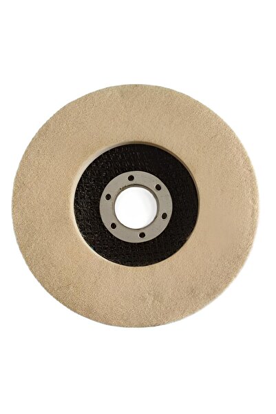 OEM Disc frontal, pentru otel / otel inoxidabil, Carbochim 1106497, 125 x 22 mm
