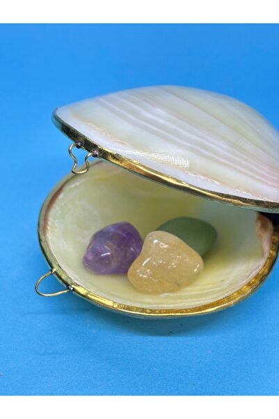 gemsartdeco HEDİYELİK KUTU KABUK