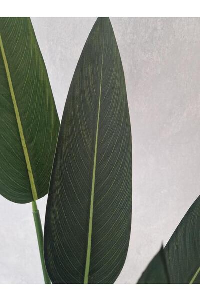 OEM Canna 105cm