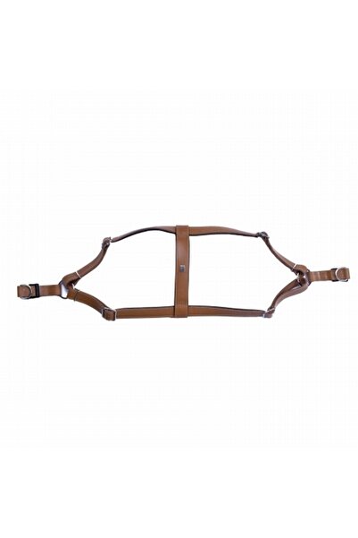Doggie Comfort Ronin Leather Dog Collar Camel 2x45 55 Cm