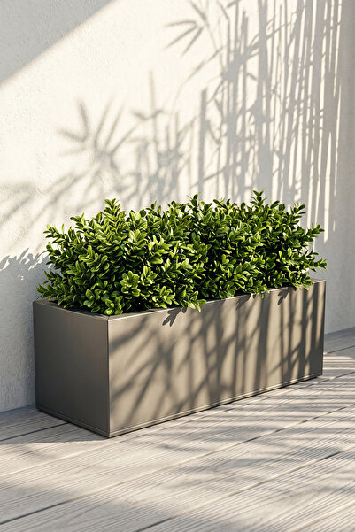 Desen Dekorasyon Zenith 60x20x20 cm Yatay Dikdörtgen Antrasit Saksılık - İç &...