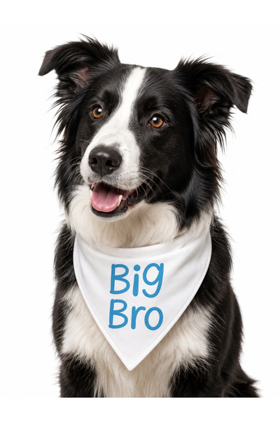 LIWOGY Big Sis & Big Bro Written Dog Scarf Bandana