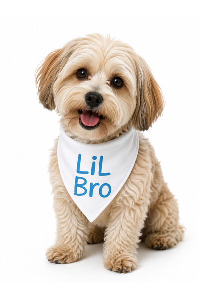 LIWOGY Lil Sis & Lil Bro Written Dog Scarf Bandana