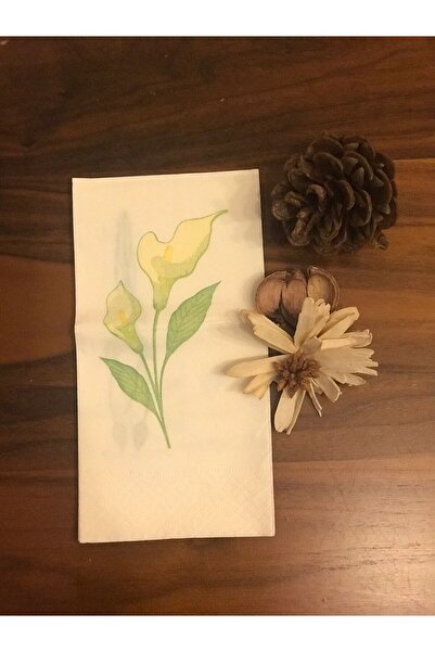Regina Servis Peçete - Katlanmış Lüks Peçete 38*38 Garson Katlama