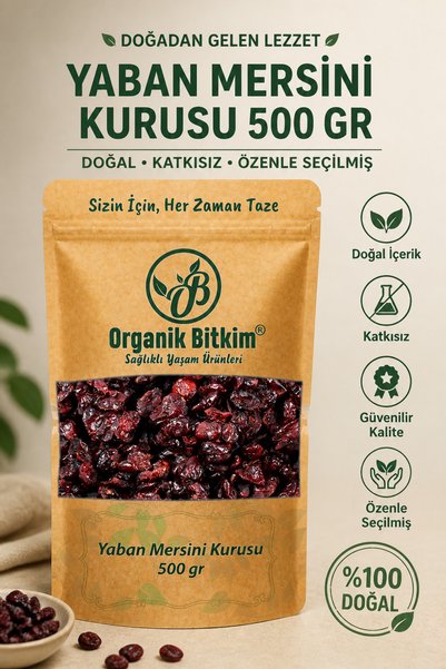 OB Organik Bitkim Blueberry Dried 500 gr
