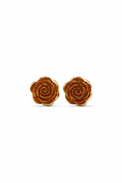 Charmist Steel Valentina Earrings Brown