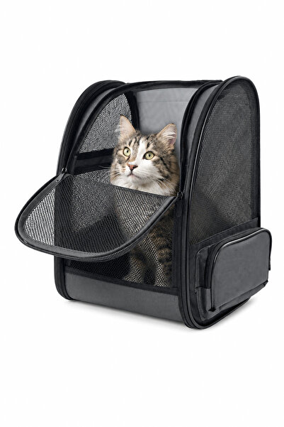 petpugo Premium Sert Gövdeli Kedi Köpek Taşıma Çantası Bükülmez Dayanıklı Nef...