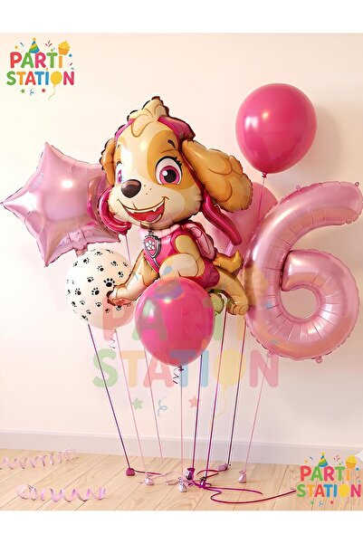 Parti Station Paw Petrol Foil Set Paw Patrol Skye 6 Year Old Balloon Set Conc...