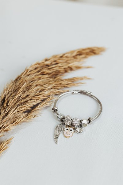 rycollections 316L Steel Pink Zircon Stone Charmed Owl Bracelet