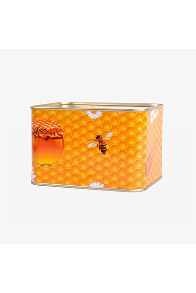 aslanpetek Bal Tenekesi 2 Kg