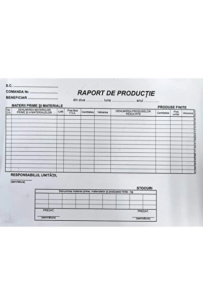 DanyCris Raport de productie A4 orizontal ( Dany Cris )