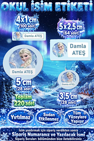 Kt Grup Okul Etiketi Kalem Defter Etiketi Elsa Temalı Isme Özel 220 Adet