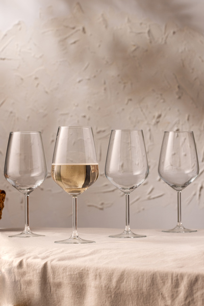 Avantgarde 4-Piece Glass Set 490 cc