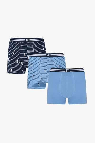Penti Men's Wild Sea Fish Patterned 3-Piece Boxers
