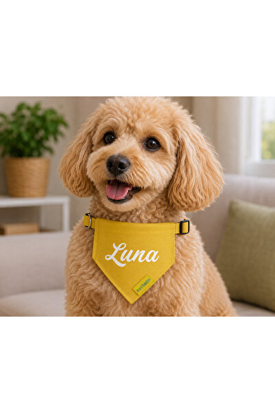 PATİMİO Isme Özel Kedi Ve Köpek Yellow Tasma Fular Bandana
