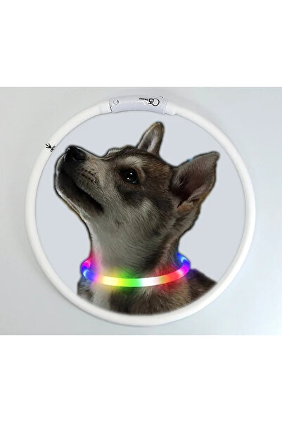 choice2 L-70CM 4 Modes Dog Luminou Charge Collar Led Usb Cat Silicone Colorfu...