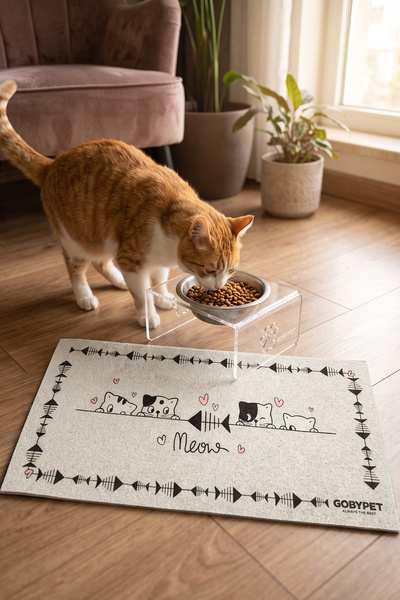 GOBYPET Tekli Seramik Dekoratif Kedi Ve Köpek Pleksi Mama & Su Kabı Kedi Paspası
