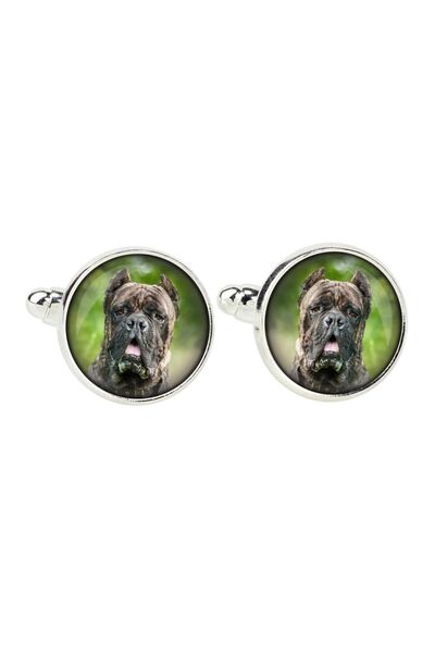 Art - Dog Cane Corso, Italian Cane Corso - cufflinks, a shirt accessory, a sh...