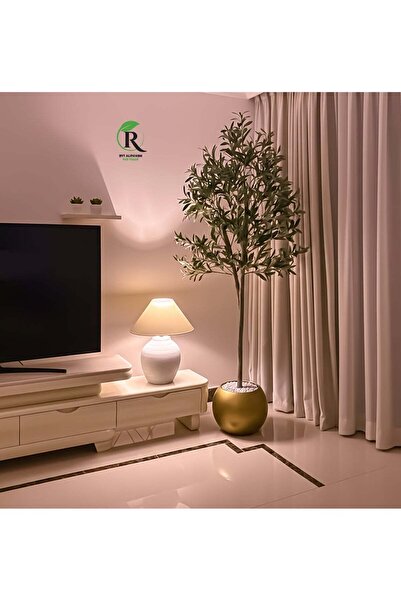 BYT ALRWASM FOR TRADE A fruitful olive tree with a large, attractively design...