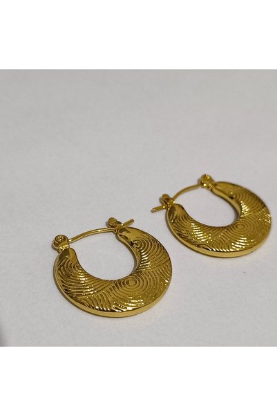 Zennemor Stainless Steel Antiallergic Gold Color Earrings, Suitable for Daily Use and Combinations