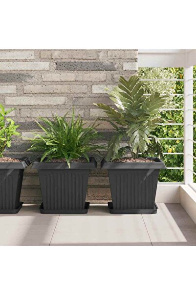 vidaxl Vaza patrata pentru flori 6 pcs Negru 33 x 33 x 26 cm Plastic