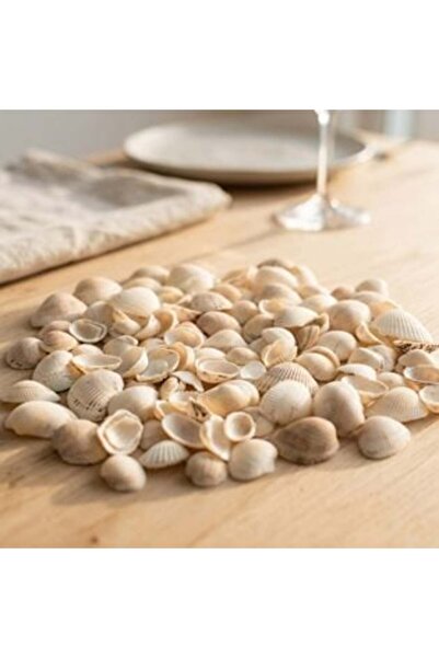 SHOPIENS Plasă decorativă din scoici albe 350 G