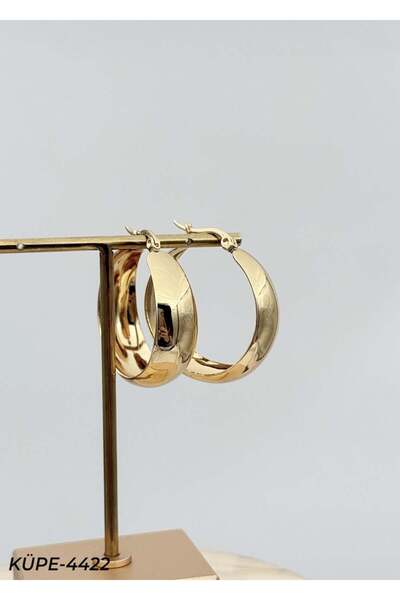 Bozhi Earrings Steel Daily Elegance Gold Stylish Gift