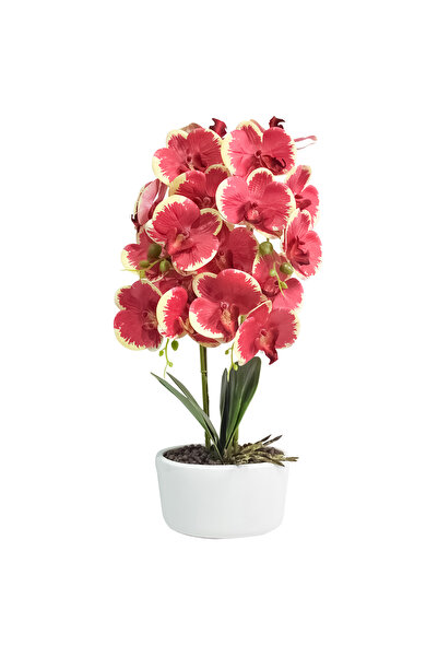 Naimeed Company Orhidee decorativă în ghiveci ceramic, 50 cm, Naimeed D4848, ...
