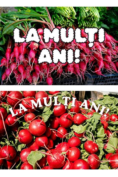 OEM Set 2 Felicitări La Mulți Ani, Tematică Ridiche, Carton Premium 250g, 20x...