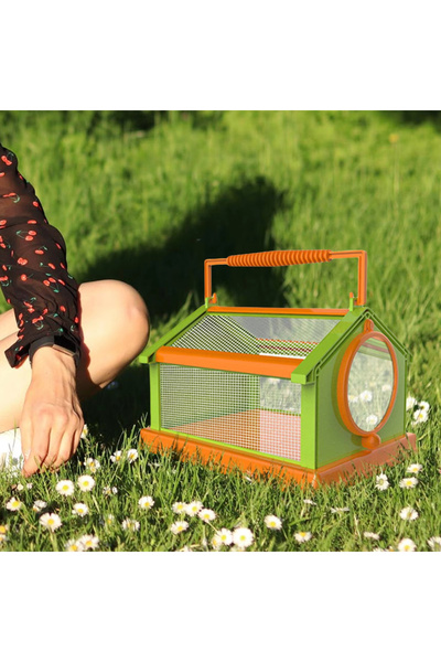 Choice Green Orange New 4 Color Portable Butterfly Insect Habitat Cage with C...