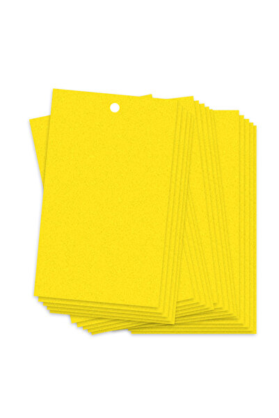 Choice 25cm 20pcs Sticky Traps for Flying Plant Insect Fungus Gnats Dual-Side...