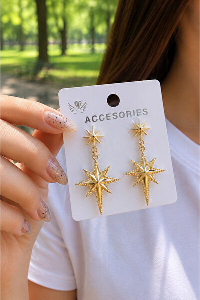 ERH Gold Star Figured Dangle Earrings for Women – Stylish Design with Shiny S...