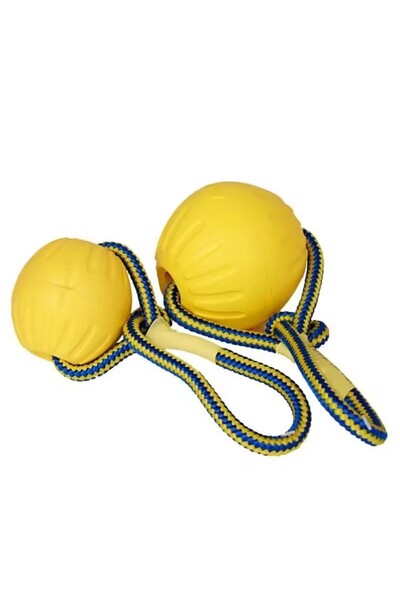 Choice1 AS-2PCS 1pc Teeth Indestructible Bite Puppy Funny Training Ball Chew ...