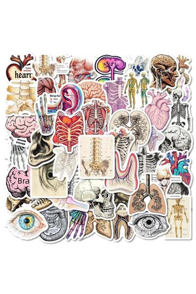 Choice 50 قطعة من ملصقات الأعضاء البشرية الواقعية، ملصقات جرافيتي ممتعة للتشر...