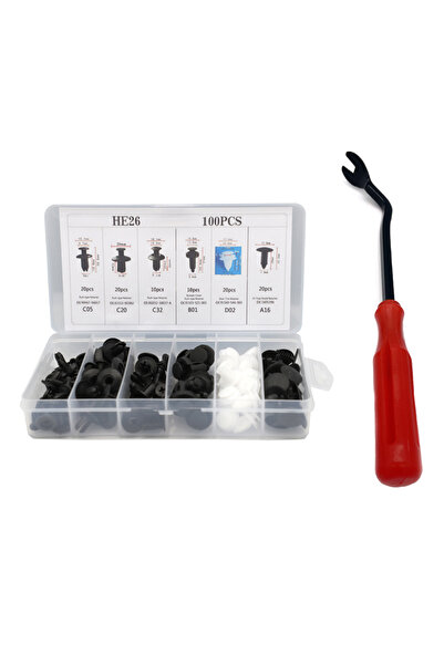 Choice1 Set B 100pcs 6 Sizes Mixed Auto Fastener Car Bumper Clips Body Push R...