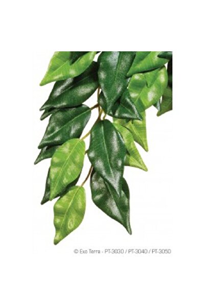 Exo Terra Ficus Υφασμάτινα Φυτά Medium