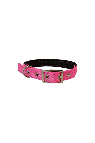 Pet Interest Neoprene Fluo Κολάρο Σκύλου σε Ροζ Χρώμα Small 16mmx40cm