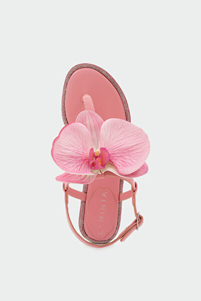 LAMİNTA Peta Orkide Detailed Stoned Women's Pink Flat Sandals
