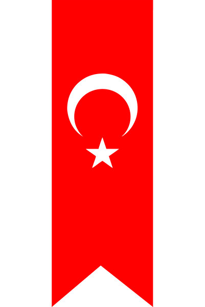 MAVİ DENİZ REKLAM TÜRK BAYRAĞI KIRLLANGIÇ 70X210 CM