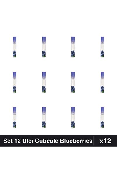 NAİLS Set 12 Uleiuri Cuticule Stilou Blueberries, Îngrijire Unghii Profesională