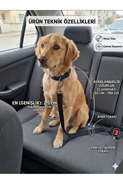 hebmeyy Evcil Hayvan Araç Emniyet Kemeri Dayanıklı Sağlam Ayarlanabilir Kedi ...