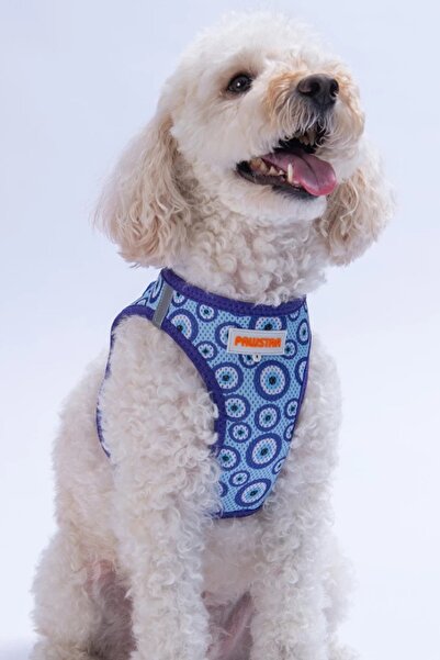 Pawstar Dog Harness