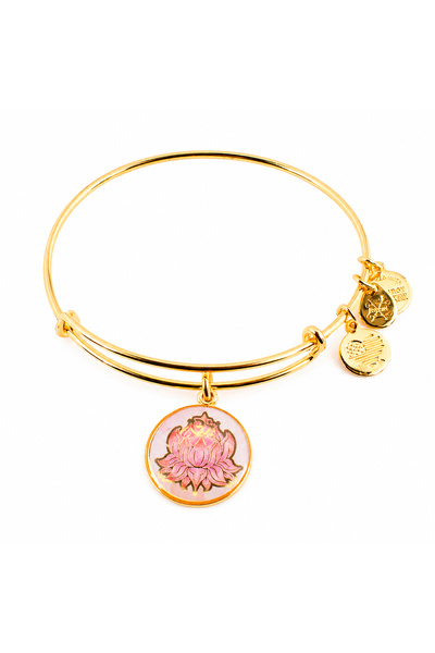 Alex and Ani Bratara Metal A16EBLPPYG