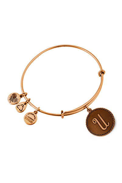 Alex and Ani Bratara Metal A08EB91UG