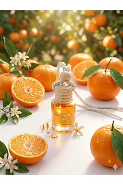 Özlem Toys Mandalina Aroma Oto Araç İçi Küçük Mekan Kokusu (8 ml)