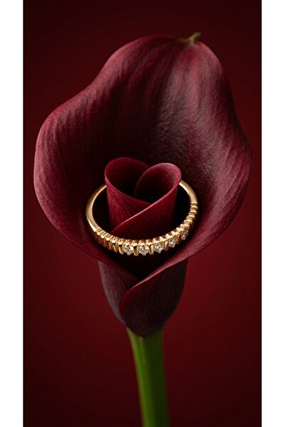 ZERA STEEL JEWELRY Xuping Yüzük