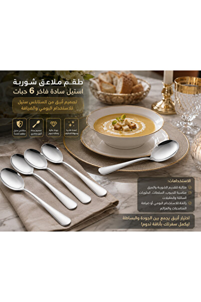 Dania 6Pcs Stainless Steel Soup Spoon Plain Color Premium Metal Spoon Set 🍲 ...