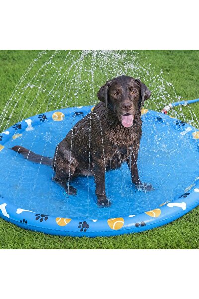 BESTWAY 52699 Fetchin' Fun Evcil Hayvan İçin Su Oyun Matı